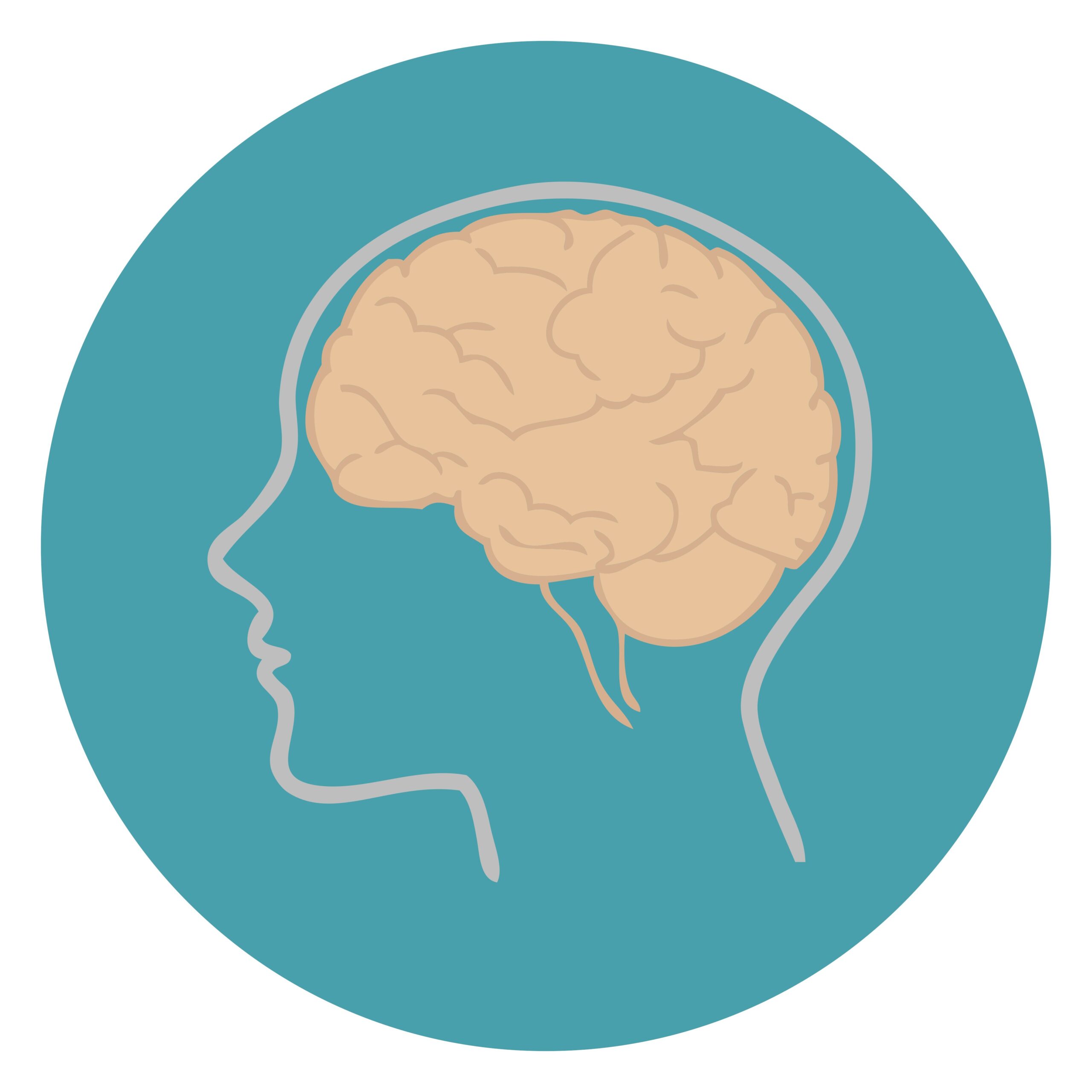 ADHS und das Gehirn: Neurobiologische Hintergründe einfach erklärt